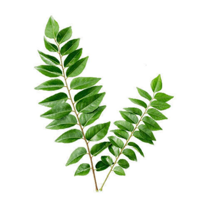 Fresh Methi Leaves