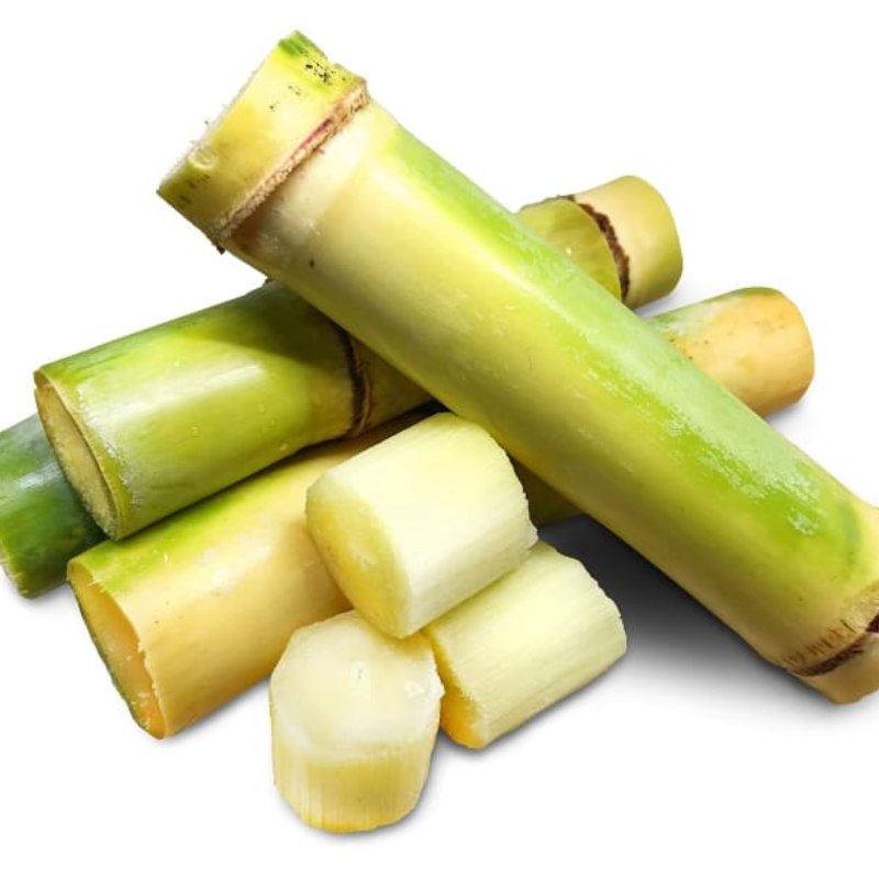 Fresh Sugarcane 30-40cm