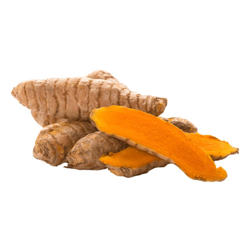 Fresh Turmeric Root