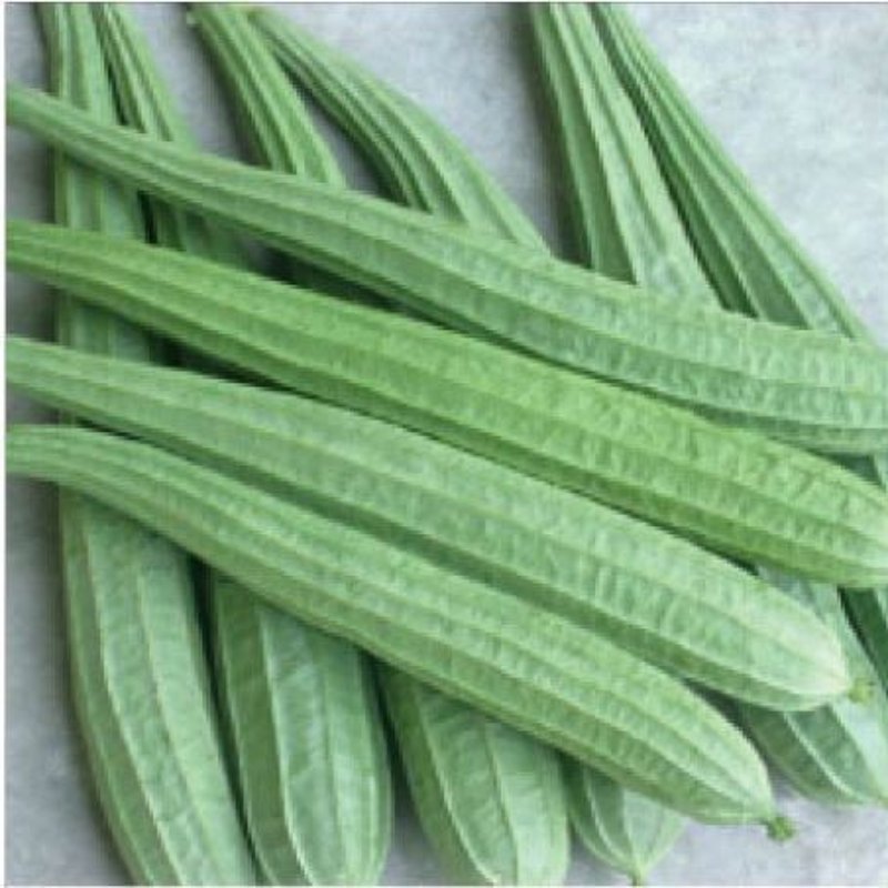 Ridge Gourd (Turai)